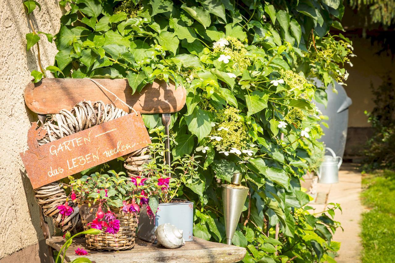 Ferienwohnung Auszeit マルクドルフ エクステリア 写真